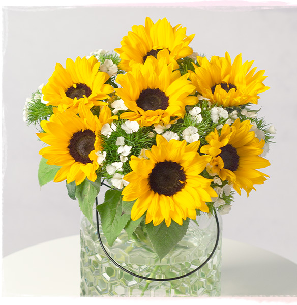Honeybee - Only &pound;24.30