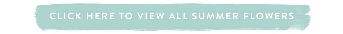 Click here to view all Summer Flowers