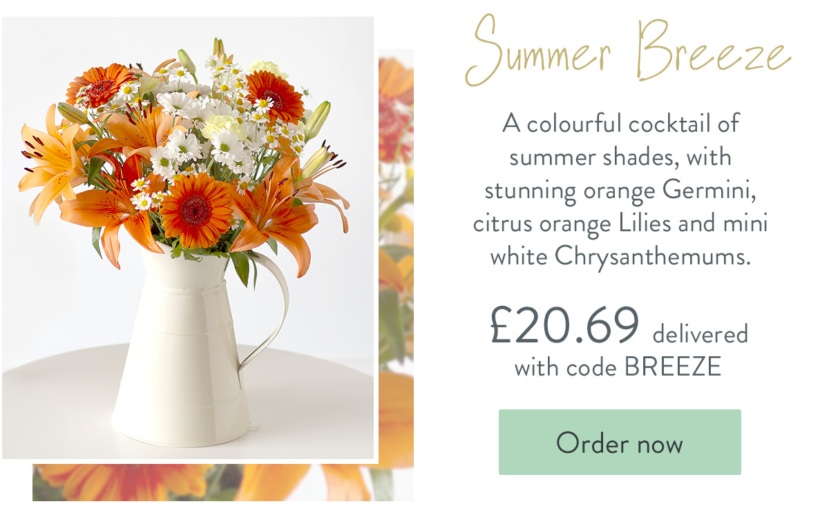 Summer Breeze - Only &pound;20.69