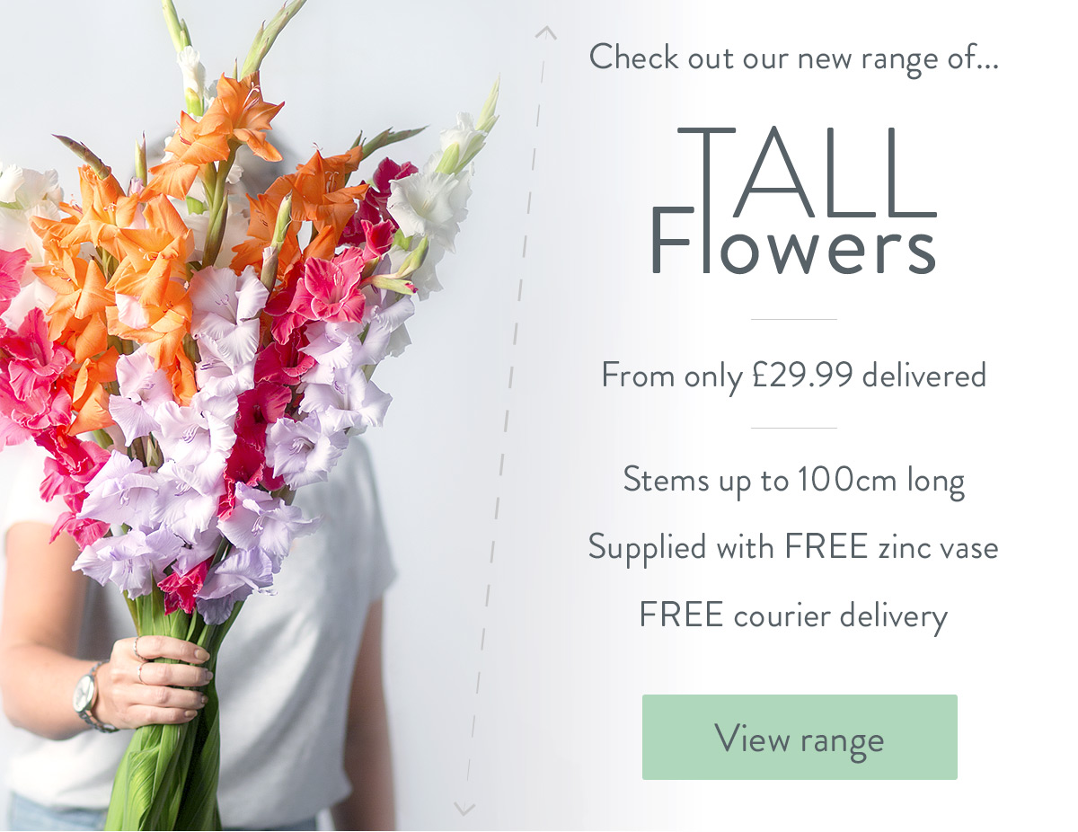 Check out our new range of tall flowers