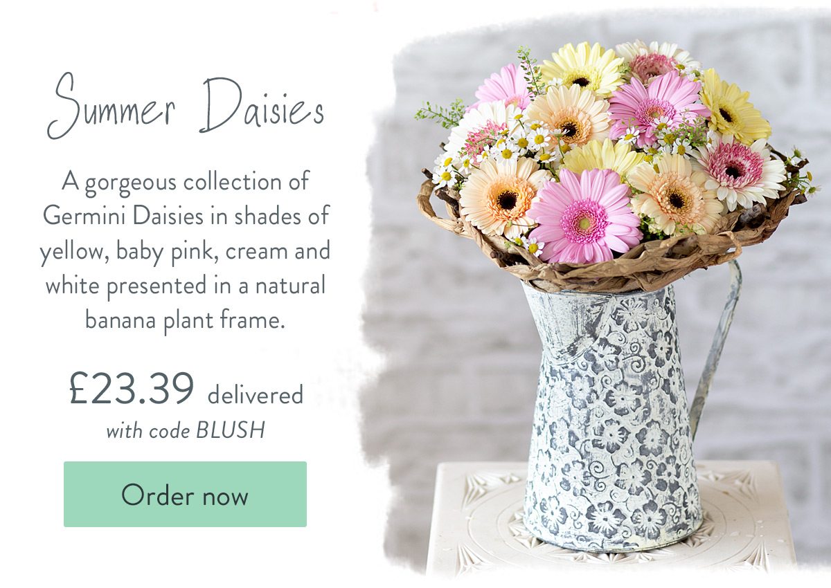 Summer Daisies - Only &pound;23.39