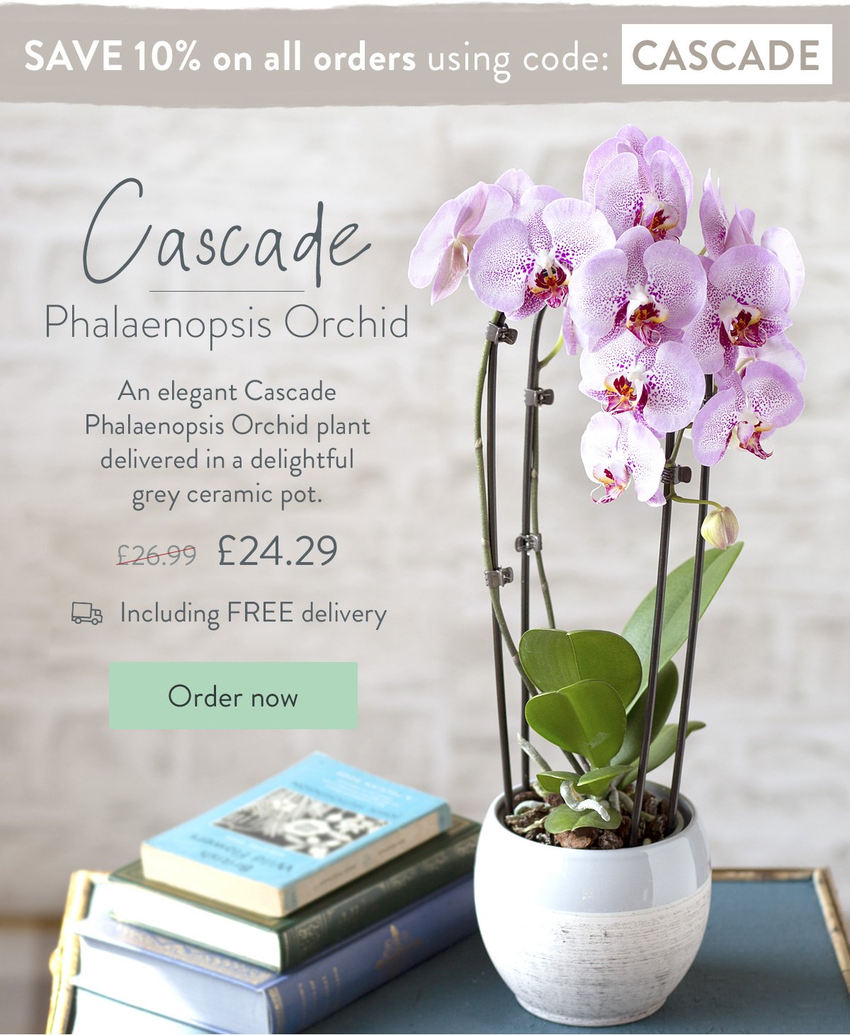 Cascade Phalaenopsis Orchid - Only &pound;24.29