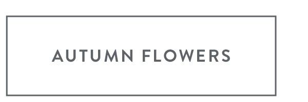 Autumn Flowers