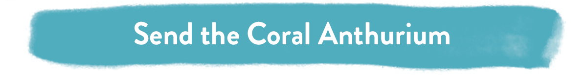 Send the Coral Anthurium