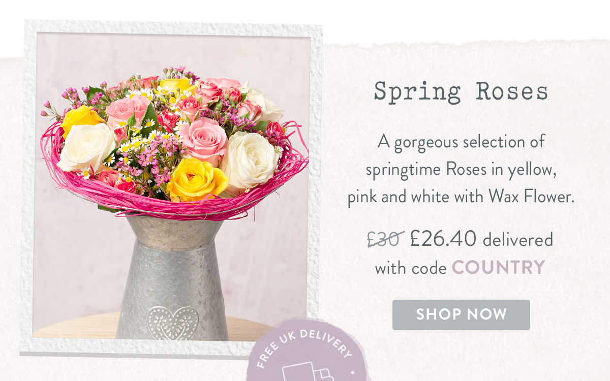 Spring Roses - only &pound;26.40