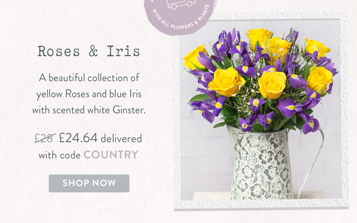 Roses & Iris - only &pound;24.64