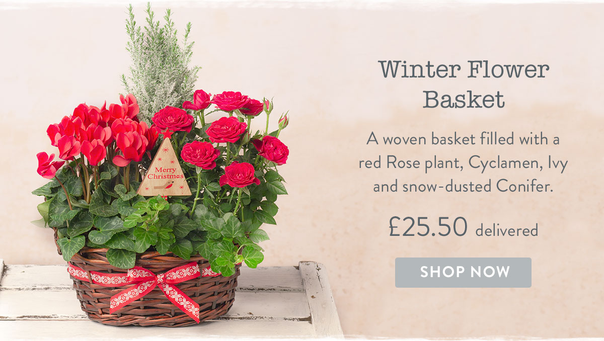 Winter Flower Basket- only &pound;25.50