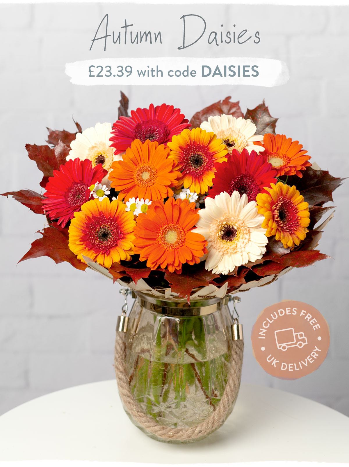 Autumn Daisies - Only &pound;23.39
