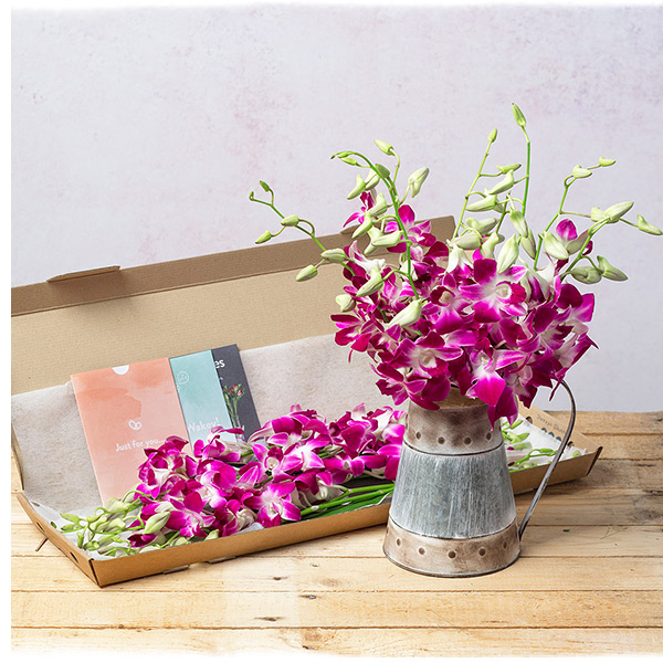 Naiyana - Only &pound;21.59