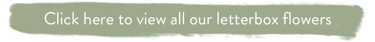 Click here to view all our letterbox flowers