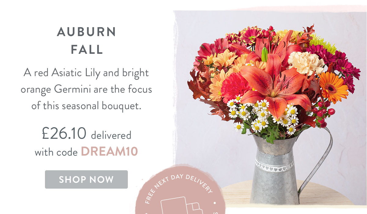 Auburn Fall - only &pound;26.10 delivered