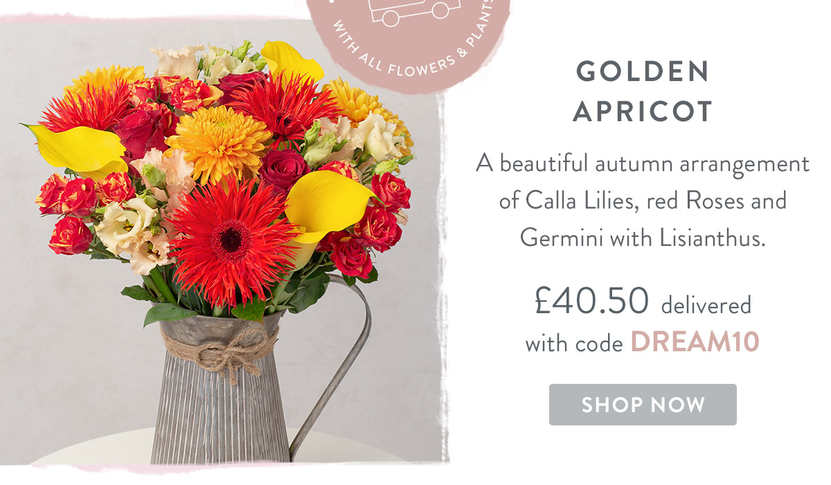 Golden Apricot - only &pound;40.50 delivered