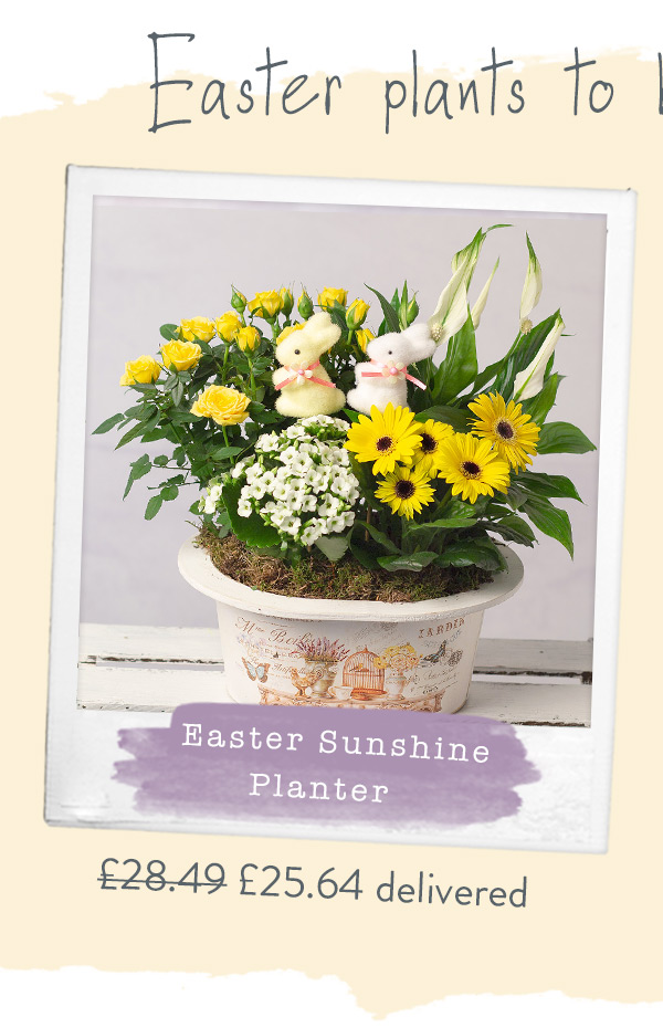 Easter Sunshine Planter - Only &pound;25.64