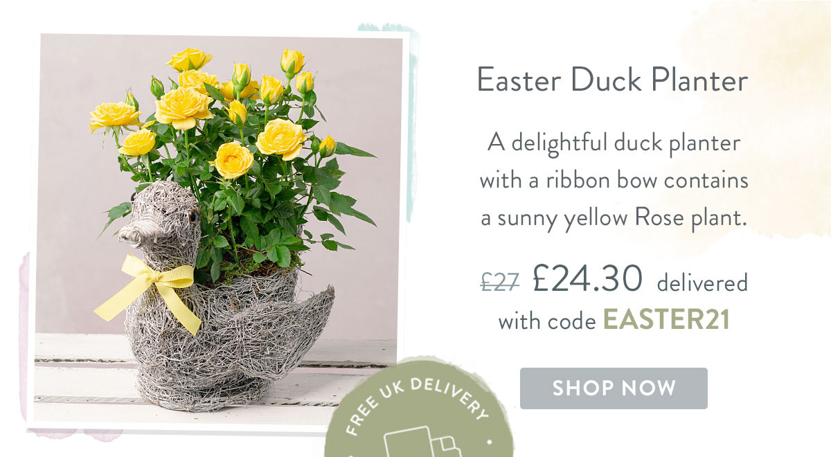 Easter Duck Planter - Only &pound;24.30 delivered with code