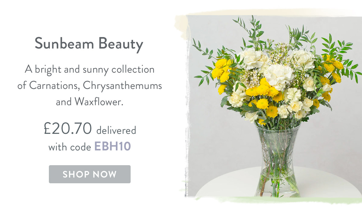Sunbeam Beauty - only &pound;20.70 delivered
