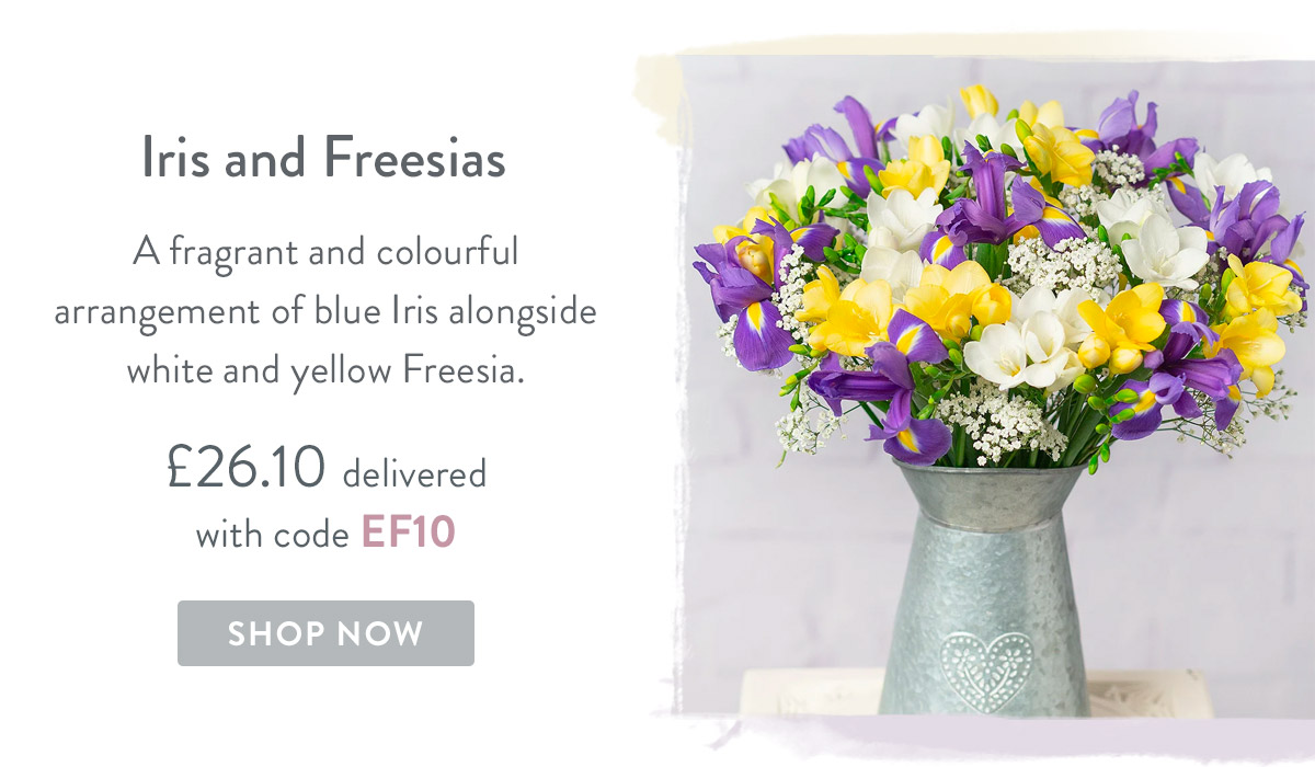Iris & Freesias - only &pound;26.10 delivered