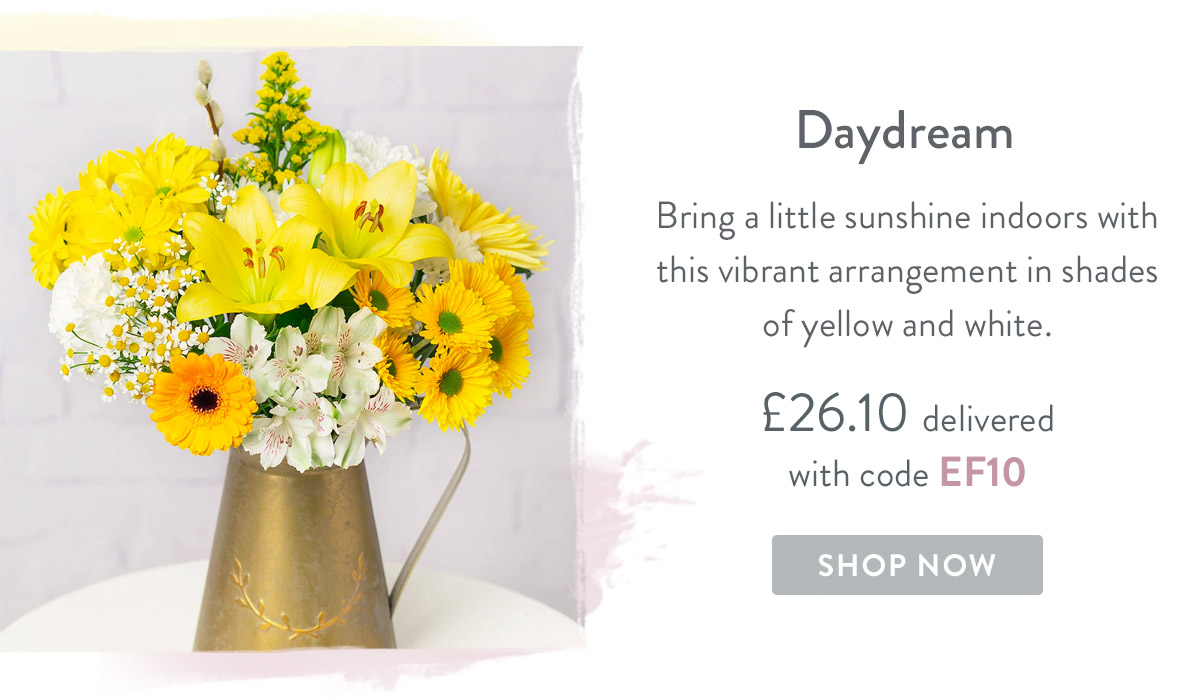 Daydream - only &pound;26.10 delivered
