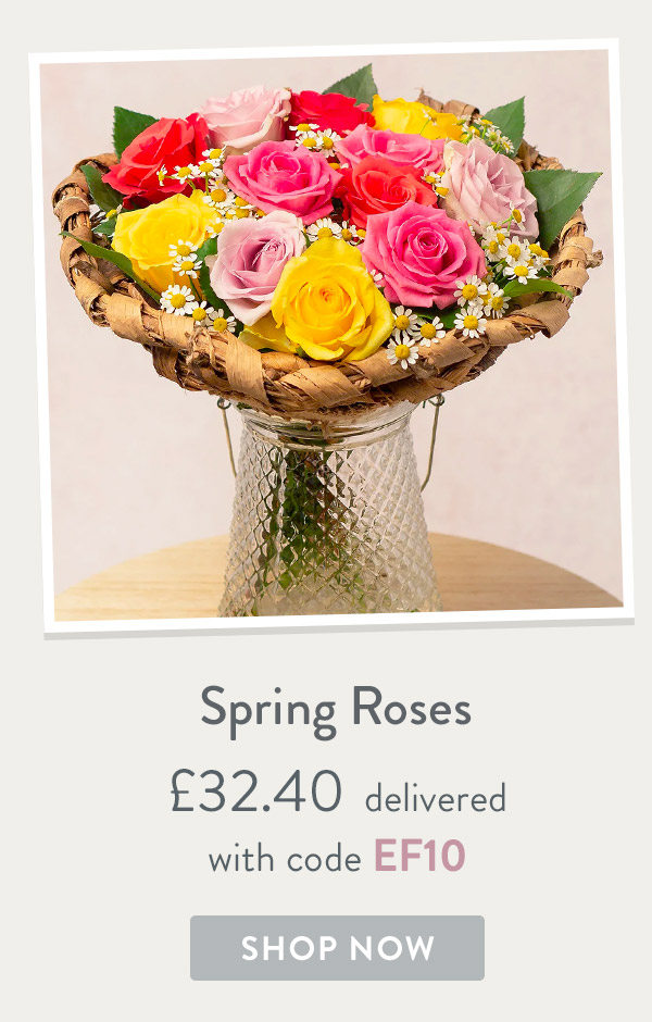 Spring Roses - only &pound;32.40 delivered