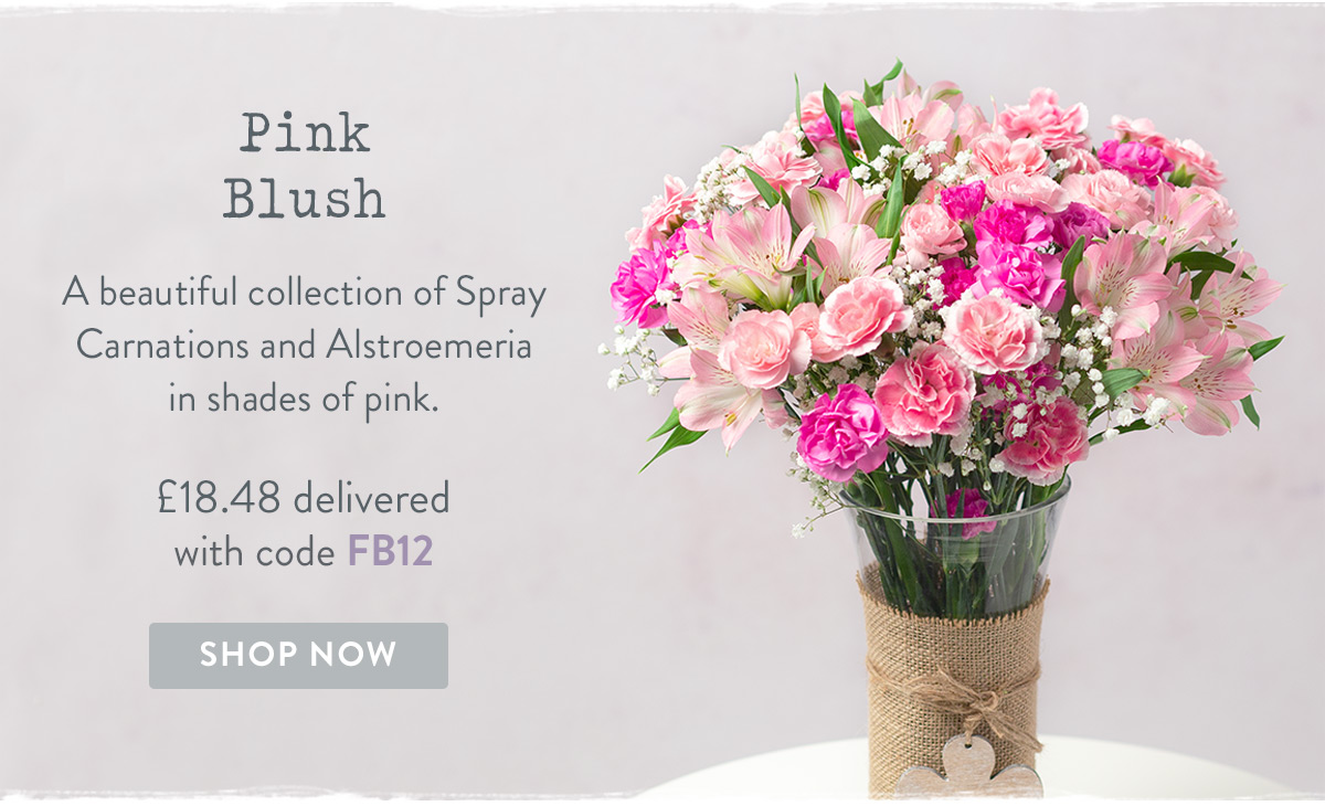Pink Blush - only &pound;18.48