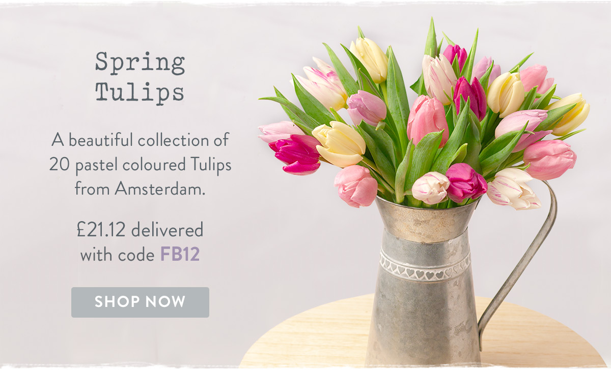 Spring Tulips - only &pound;21.12