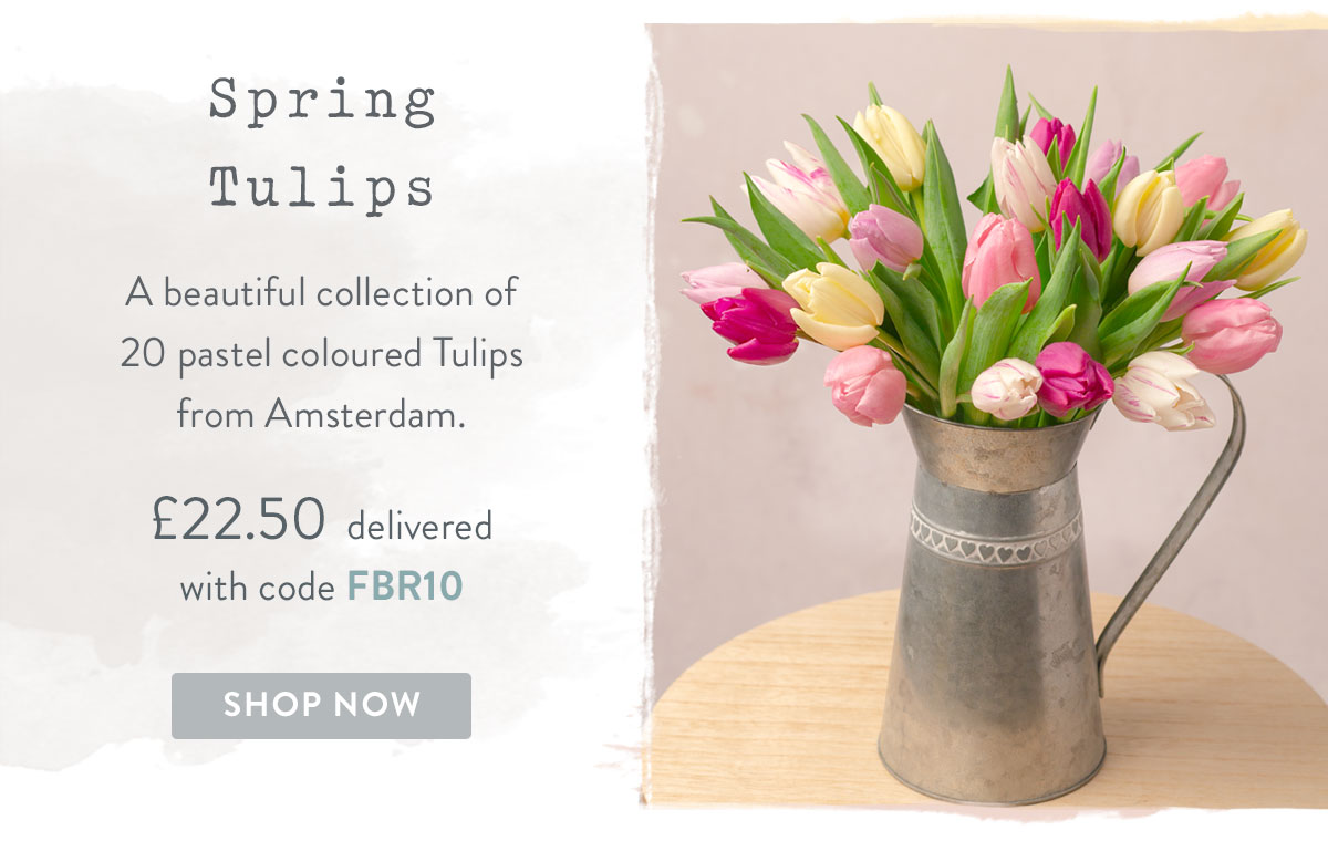 Spring Tulips - only &pound;22.50