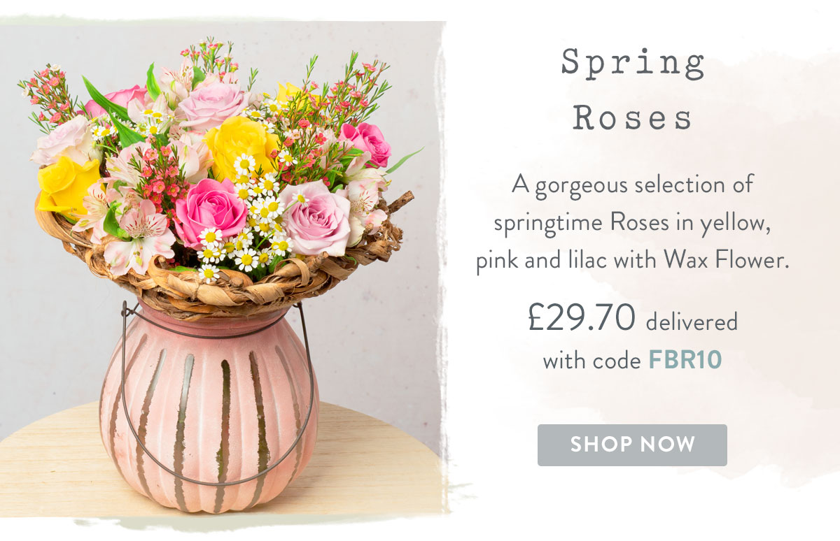Spring Roses - only &pound;29.70