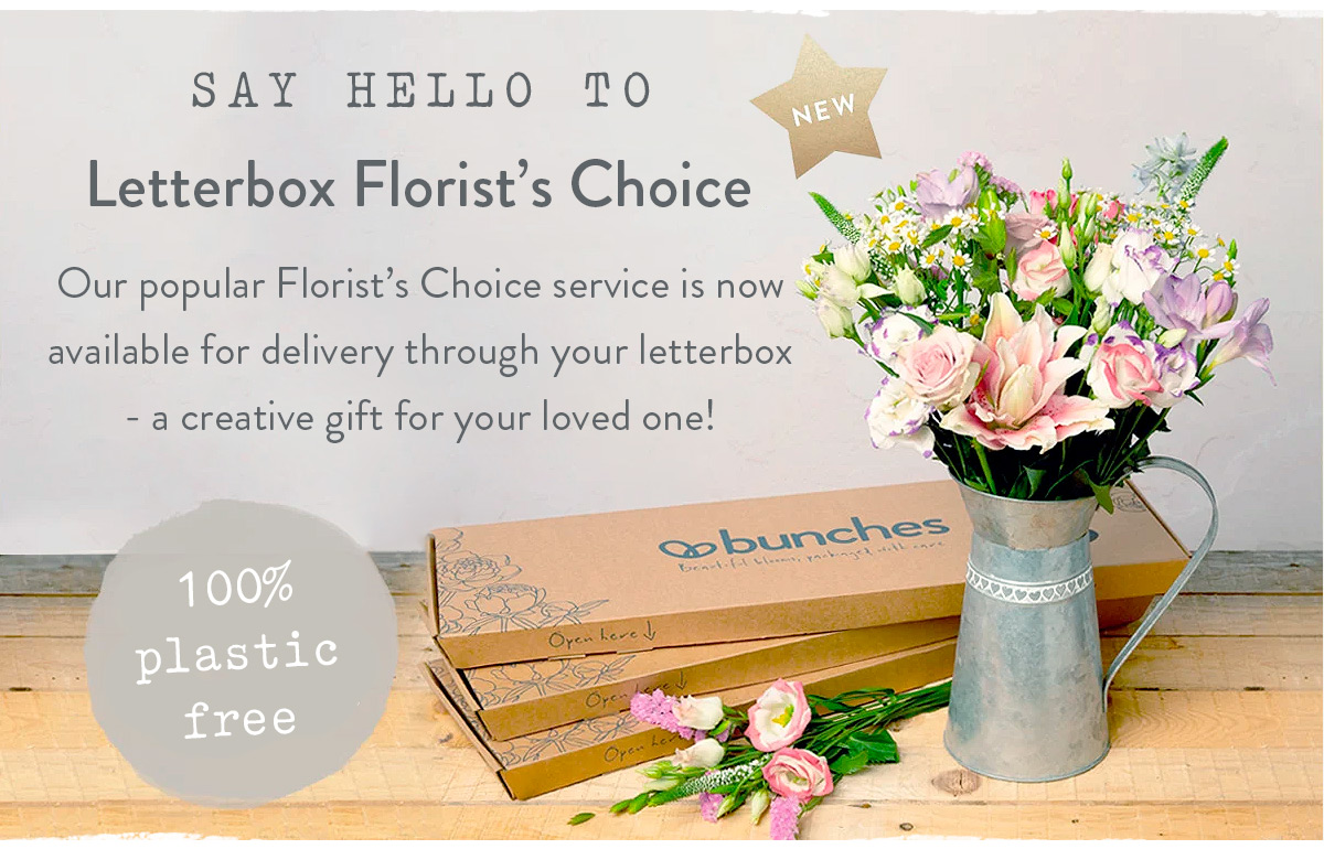 Letterbox Florist's Choice