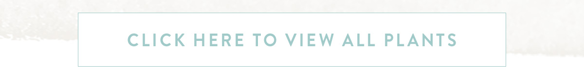 Click here to view all plants