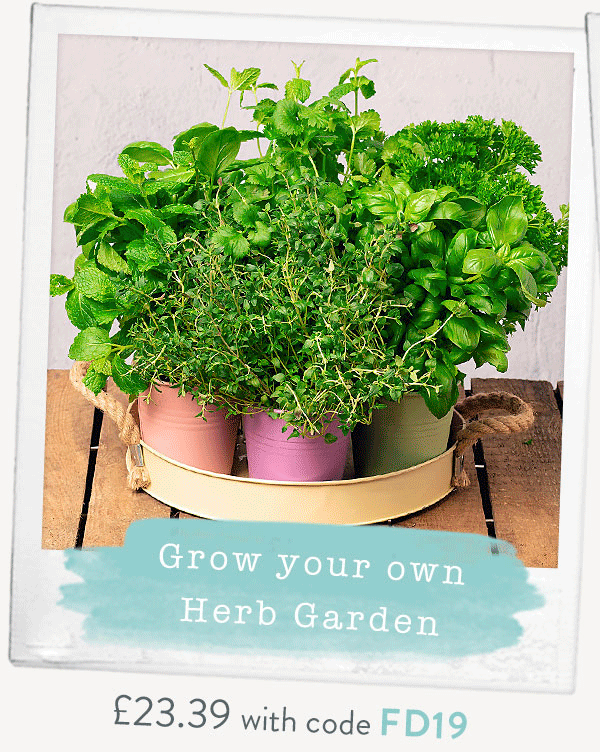 Grow Your Own Herb Garden - Only &pound;23.39