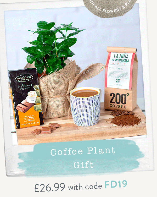 Coffee Plant Gift - Only &pound;26.99