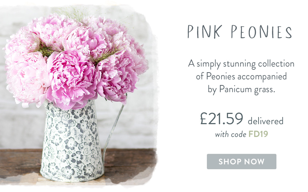 Pink Peonies - only &pound;21.59