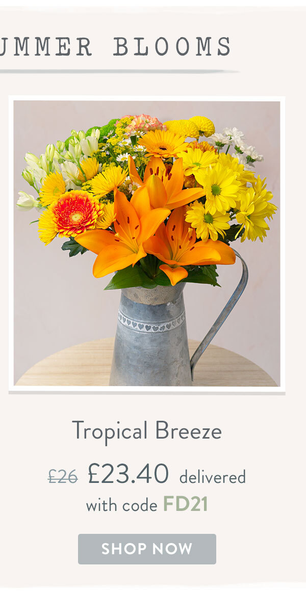Tropical Breeze - Only &pound;23.40 delivered with code