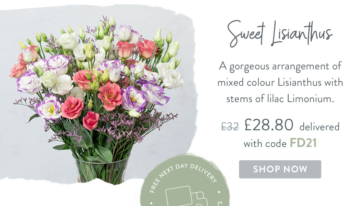 Sweet Lisianthus - only &pound;28.80 delivered