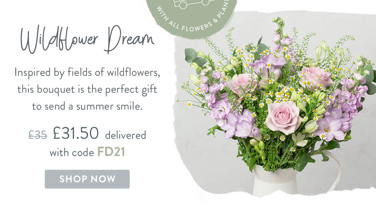 Wildflower Dream - only &pound;31.50 delivered