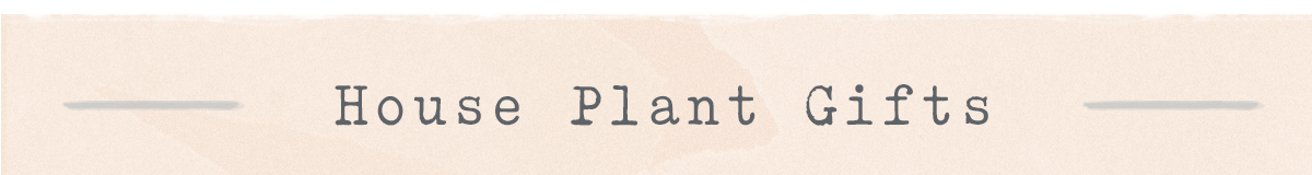 House Plant Gifts