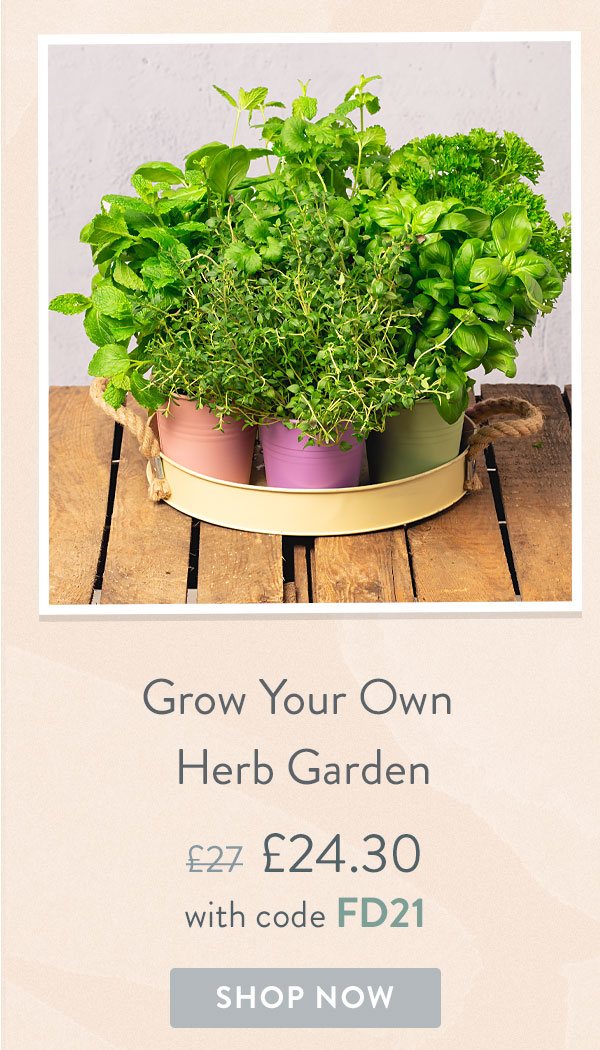 Grow Your Own Herb Garden - Only &pound;24.30 delivered with code