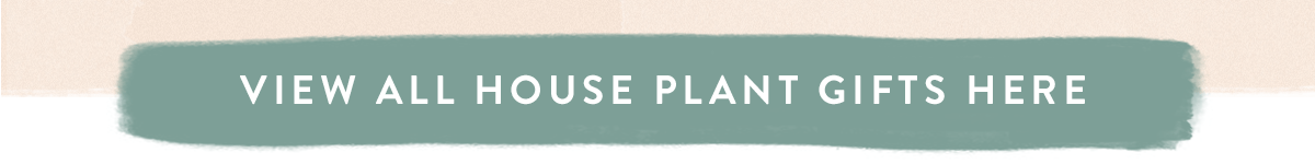 View all House Plants Gifts here