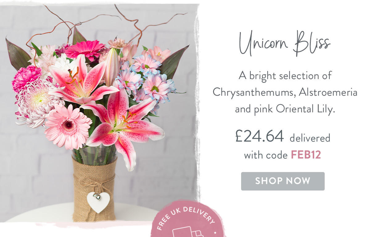 Unicorn Bliss - only &pound;24.64