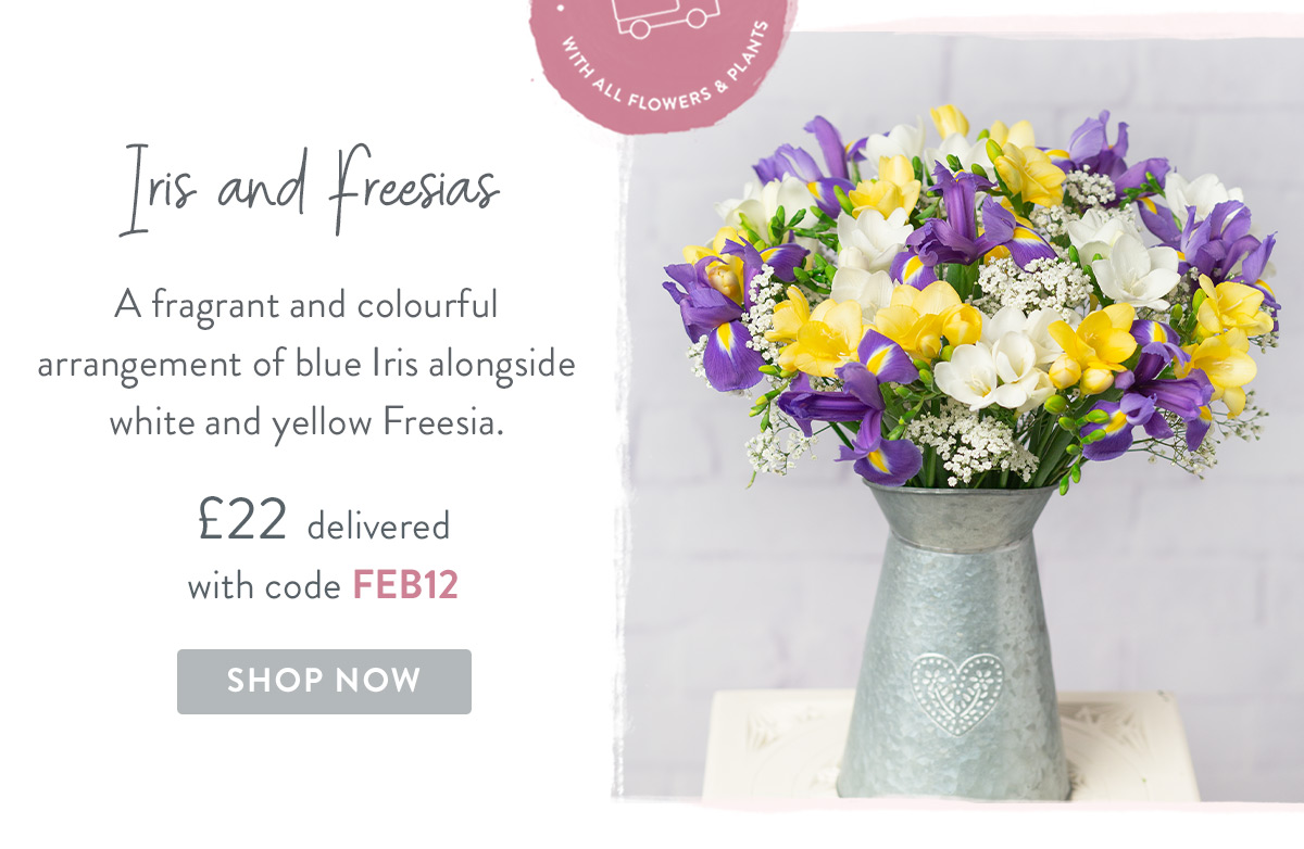 Iris and Freesias - only &pound;22