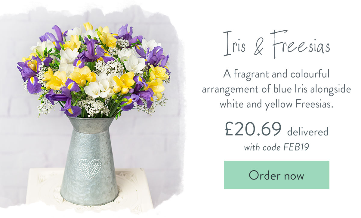 Iris & Freesias - only &pound;20.69