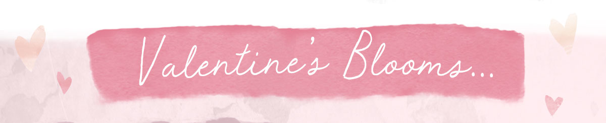 Valentines Blooms