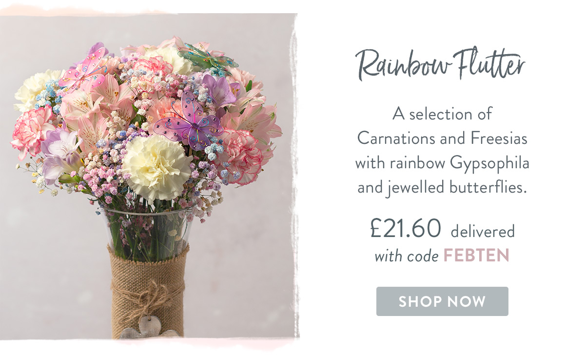 Rainbow Flutter - only &pound;21.60