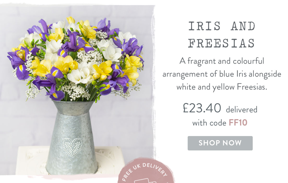 Iris and Freesias - only &pound;23.40