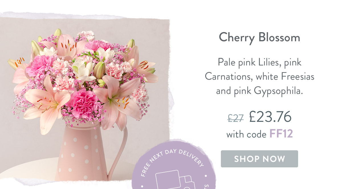 Cherry Blossom - Only &pound;23.76 delivered with code