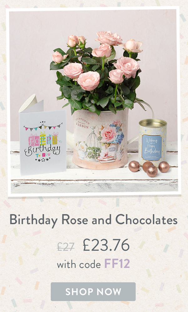 Birthday Rose and Chocolates - Only &pound;23.76 delivered