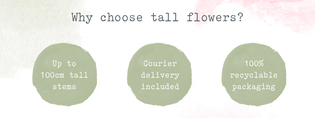Why choose tall flowers?