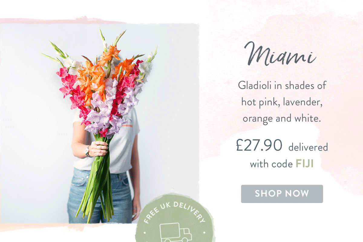 Miami - only &pound;27.90