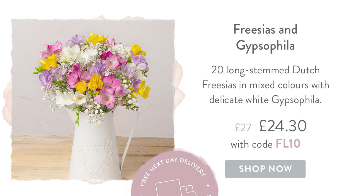 Freesias and Gypsophila - Only &pound;24.30 delivered with code