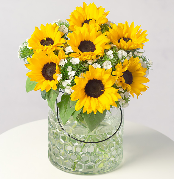 Honeybee - Only &pound;23.39