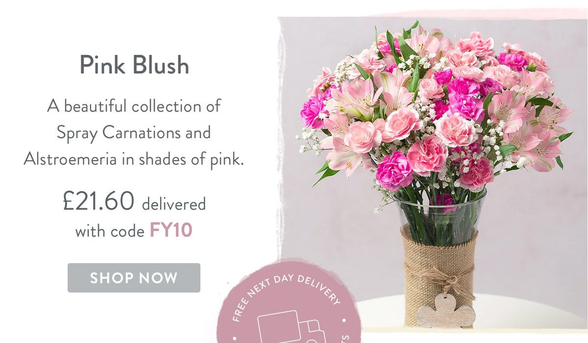 Pink Blush - only &pound;21.60 delivered
